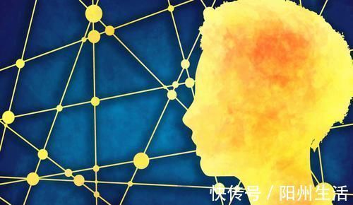 大脑|哈佛研究:宝宝大脑发育高峰期一生有三次,请务必帮娃抓住一次