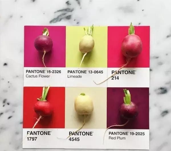 设计师|设计师是好色之徒吧不然怎么能拍出这组创意十足的食物色卡