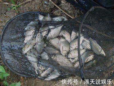 鱼层|钓鱼时找准鱼层是关键，这样浮漂的反应才最真实