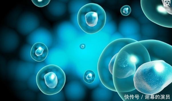 卵巢|你知道吗女人一生最佳受孕机会只有48次,错过了就没有了