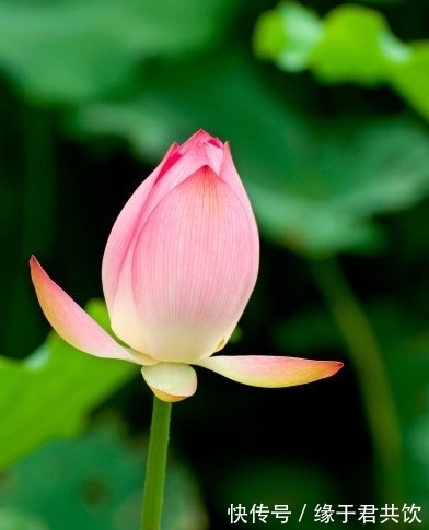 聚宝盆|7月下旬,吉星庇佑,4属相运势上涨,偏财大顺,生活步入正轨