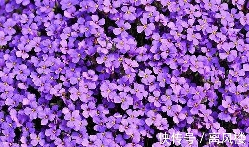 财富|7月，桃花缠绕，喜鹊重连，财富倍增，重新牵手，情意两全