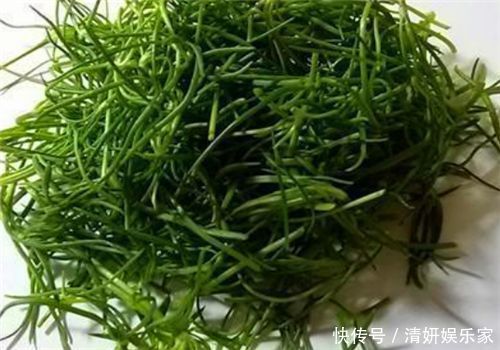 常吃|人到中年想要身体好,常吃4种食物,降压减脂,抗衰老,早吃早好