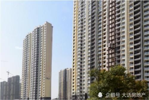炒房者|消除上亿套空置房的最好办法：消灭炒房客
