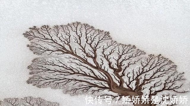 经验主义#你的眼睛捉弄了你，24张难以置信的照片