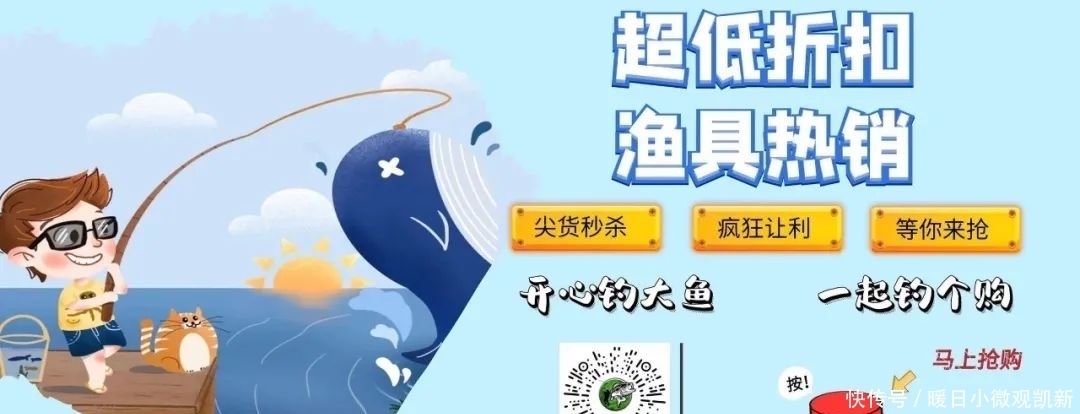 鲢鳙|钓鲢鳙黄金季，请收下这4个锦囊！