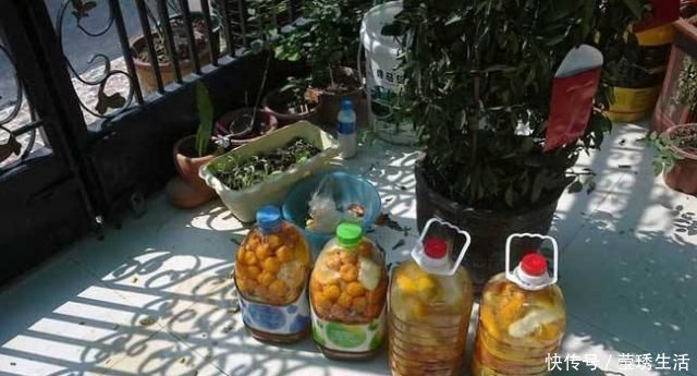 2种水,是养花的“砒霜水”,万万不能用,不然黄叶花枯死