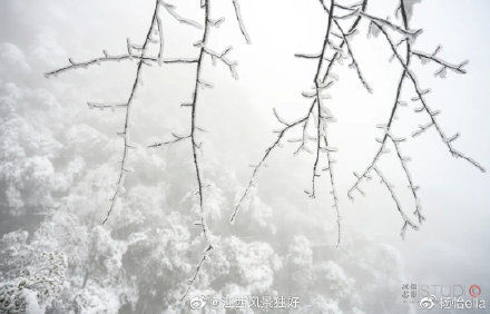 仙山|江西三清山游记：这座仙山，产在人间