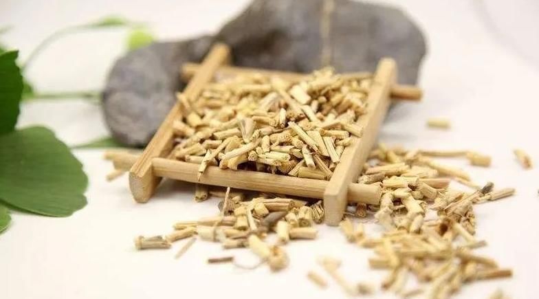 治病|一味白茅根，治病大功效！只要用得好，能治6种常见疾病！