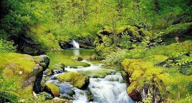 圣经#《圣经》世界发行量第一,位居第二是中国一本奇书,道尽天之枢机