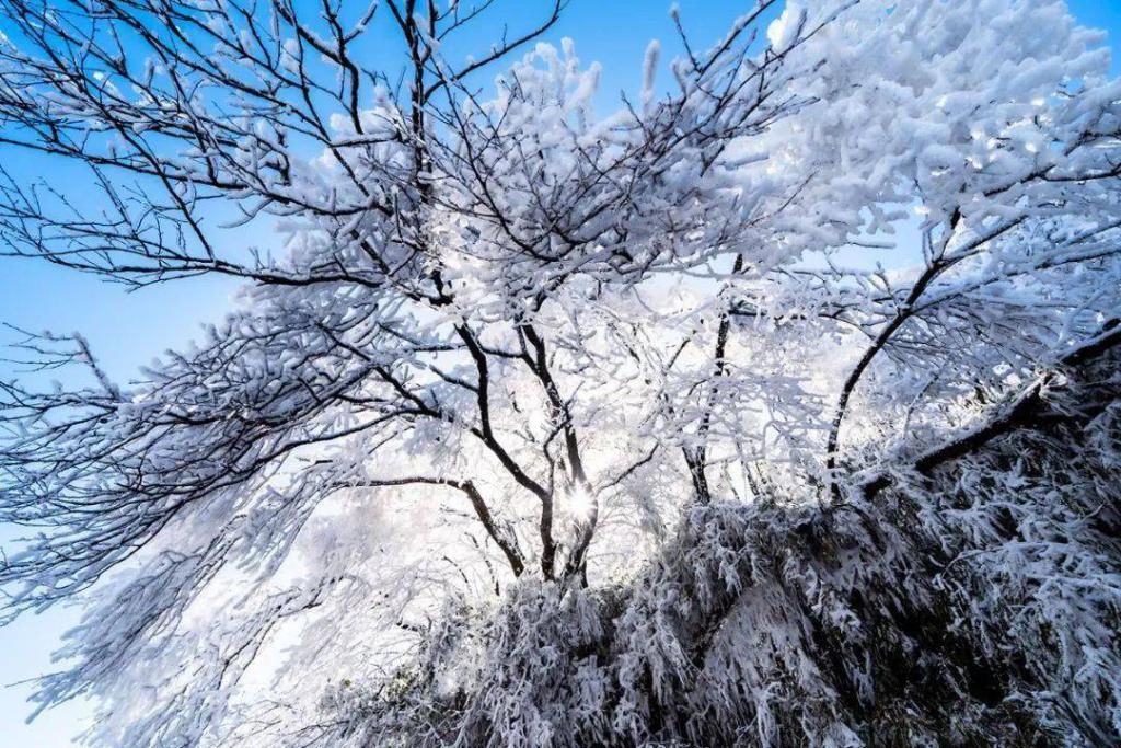 雪后初霁 蓝天白雪映金山