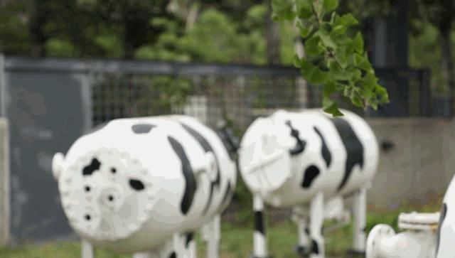 老年|探索“E9区”——不只是网红打卡地,更有满满的回忆