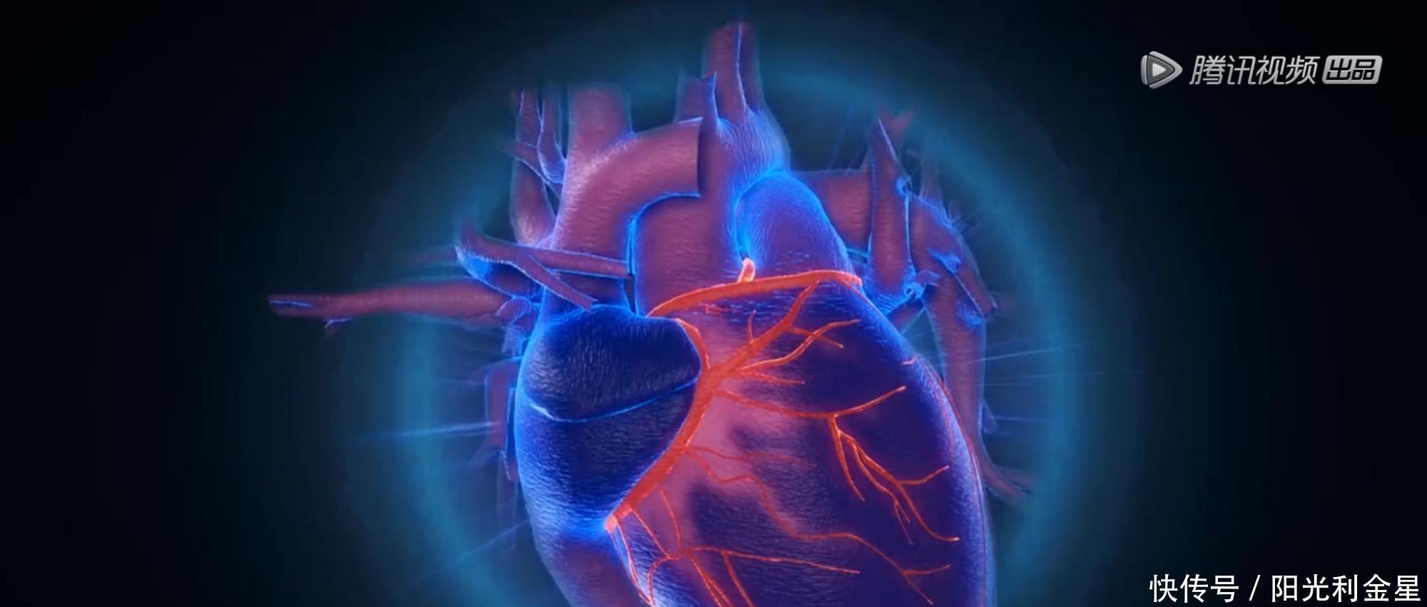 冥族大将|武庚纪101两位新角色登场,所有战士都在秀,只有十刑在挨揍!