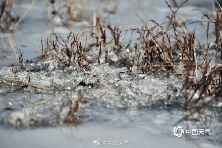 小海坨|北京小海坨山下冰花晶莹剔透 风景自带冷蓝滤镜