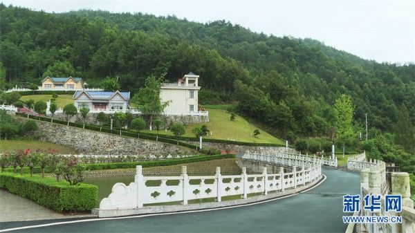 大山深处官坊村，有诗有远方|走进乡村看小康| 官坊村