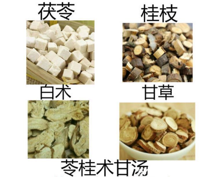 桂枝|千古除湿第一方,不伤体内正气,从根本上祛除湿气,用过的都说好