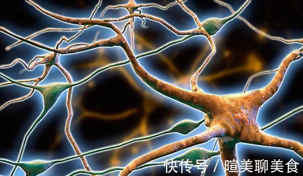 老年痴呆症|45到55岁是“生命高危期”,3件事最好一个别碰,长寿自会青睐你