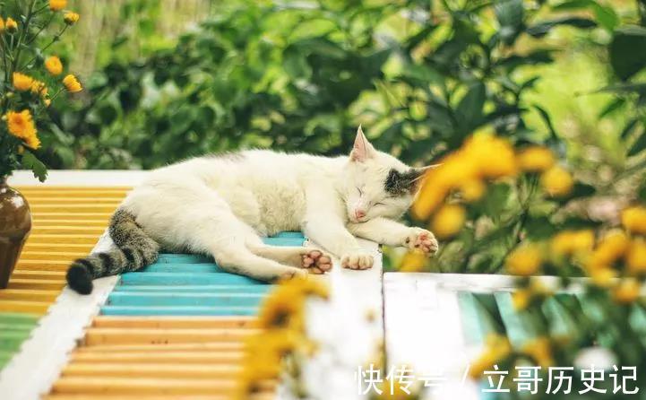 四川|治疗脂肪瘤,乳腺纤维瘤的方子,四川名中医经验总结,可缩小瘤体