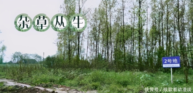 陈赫|《向往的生活》李诞和陈赫有多吵?张艺兴充满无奈、黄磊喊头疼