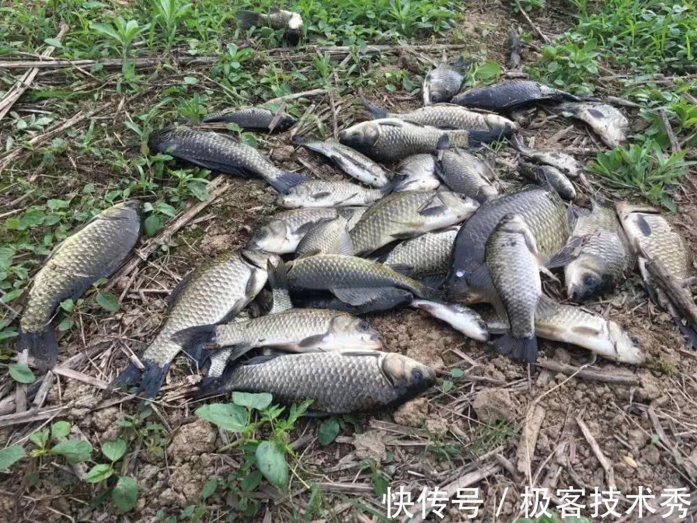 冬钓时,调整钓组的4个小细节,鱼口信号至少放大5倍