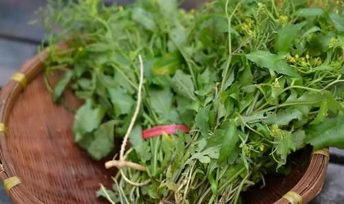 益气|女性想要皮肤好,多吃3种食物,补血益气,祛皱抗衰,肌肤更水嫩