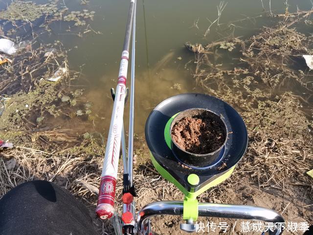 套路|钓了3条鱼,赔偿5万元,难道被塘主“套路”事情没这么简单!