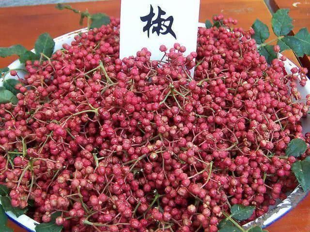 花椒|花椒放白酒里泡一泡,原来还有这种功效大家可以试试
