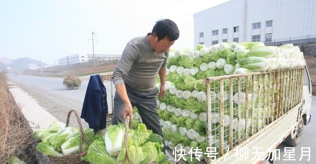 白菜最好吃的做法,爽脆入味不出水,开胃又下饭,上桌就光盘!