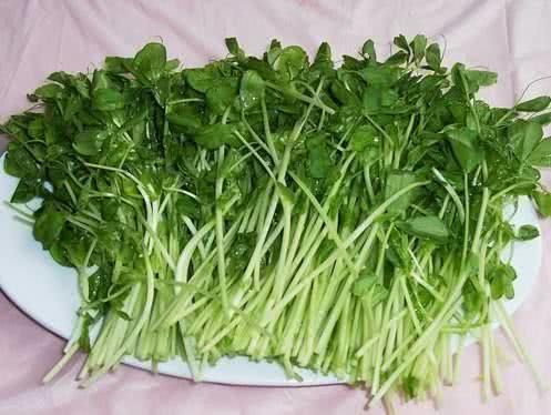 便秘拉不出很难受？常吃6种食物，促进肠道蠕动，排便变轻松