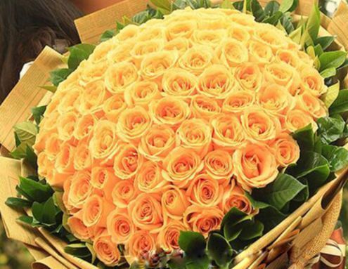 喜欢菊花,不如养盆“精品玫瑰”蜜桃雪山,花开金灿灿,青春阳光