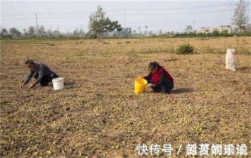 历朝历代&俗语:一日夫妻百日恩,“日”到底是啥意思?很多人都误会了