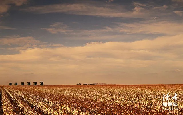 人性!人性中最愚蠢的事:把自己当回事,把人脉当大事,把平台当本事