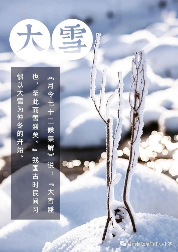  人间|【板泉中小·今日大雪】人间至此雪盛时，愿君安康！