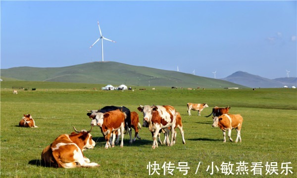 牧歌|初秋走进草原深处，聆听白云、碧草、河流奏响美妙牧歌