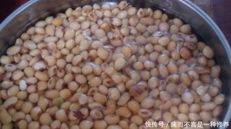 浸泡|做豆浆,浸泡8小时和用水煮都不对,大厨教你一招,香浓细腻不腥