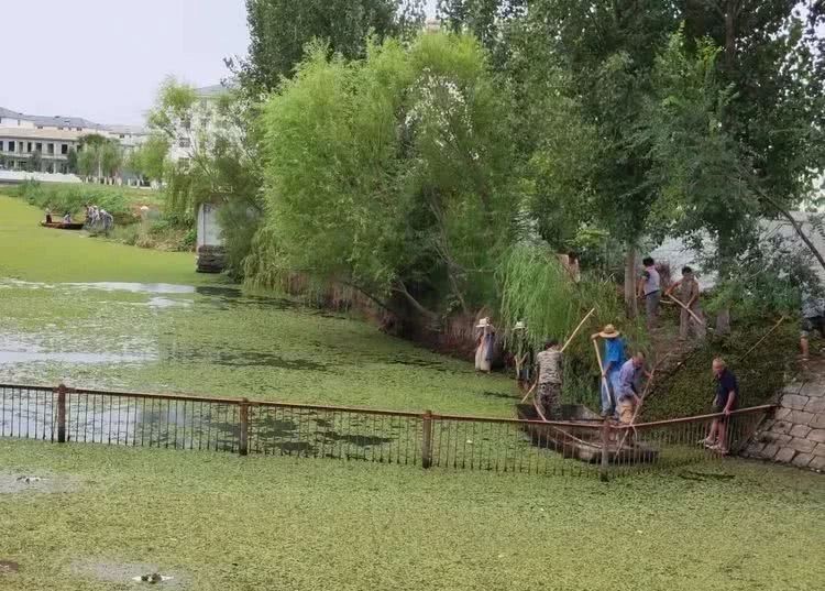 东平县|咱们东平这个镇,在历史上,因水而生因水而衰