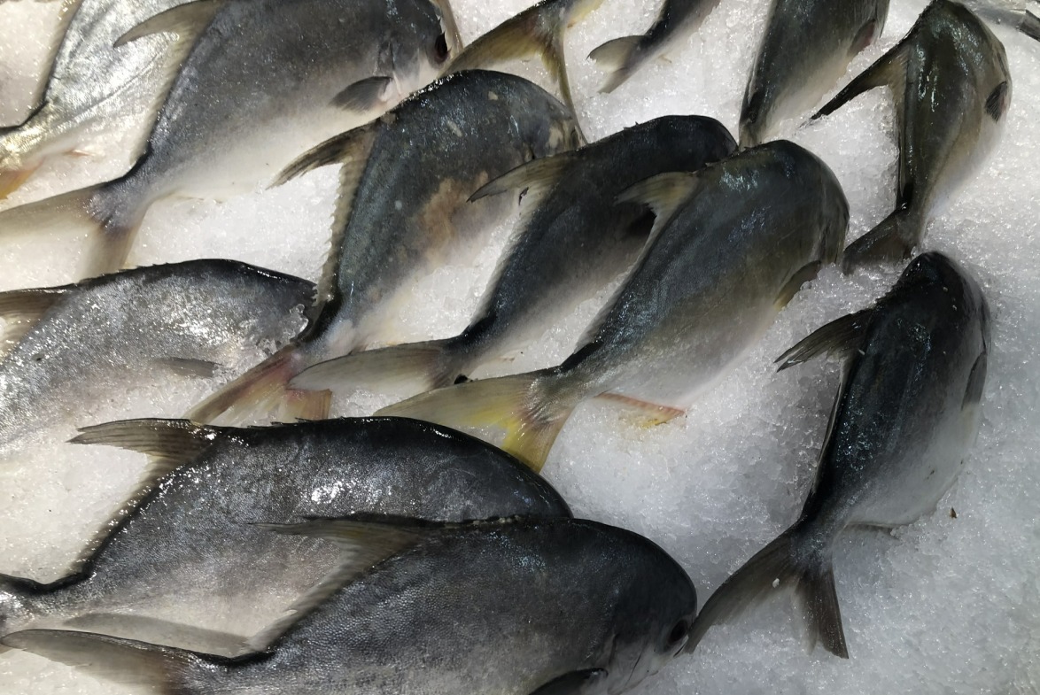 海产品|鱼贩子从不吃的2种海鲜,寄生虫“扎堆”又贵又难吃,快来看看