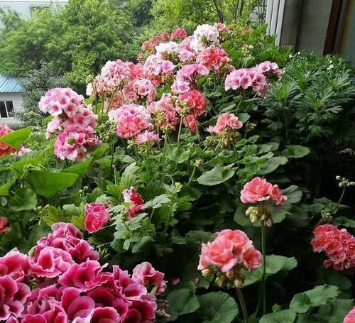 再丑的包包都能用流苏拯救,闲置旧包这样改造,比新买的还美