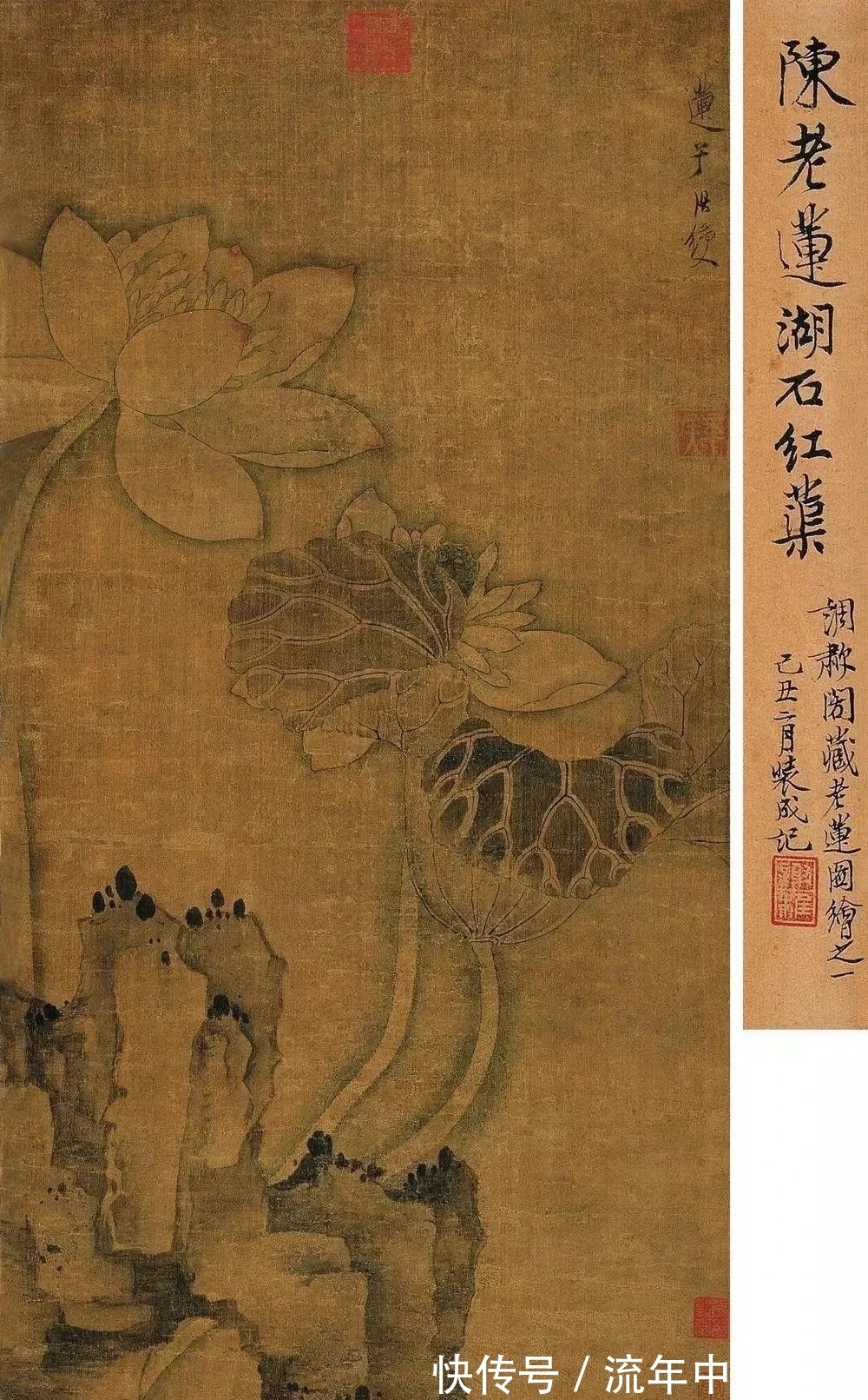 陈老莲$花鸟画|陈老莲画莲,中规中矩,一点不怪异,为什么?