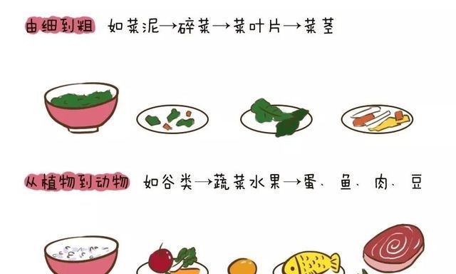 磨牙棒|宝宝出牙时间暗示健康状况,出牙晚不一定缺钙,父母越早知道越好