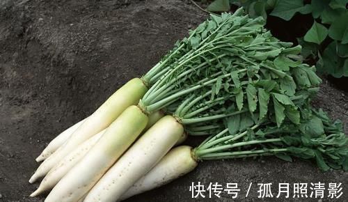 炖鸡汤|女人想身体健康，推荐吃的食物，补益身体，促进消化，预防炎症