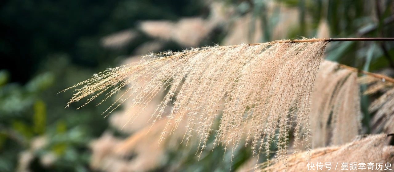 撑着油纸伞|中国最美的十首现代诗,美入骨髓,一生至少要读一次!