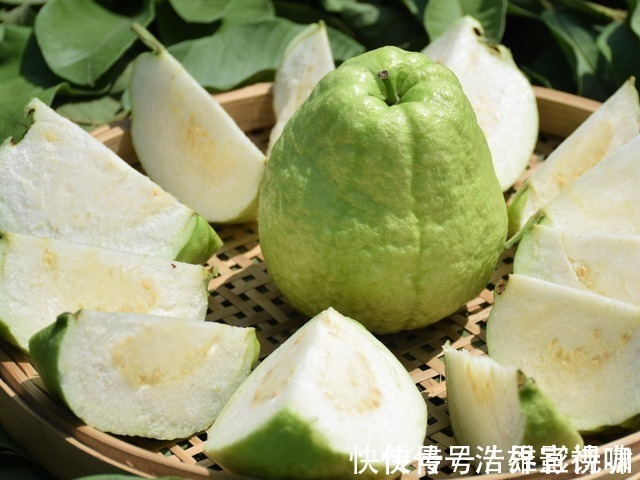 止咳化痰|肺的天然“救星”来了，平时多吃点，清肺化痰帮你保护肺！