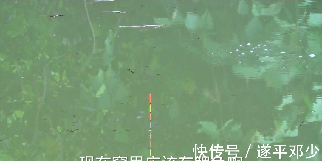 大鱼进窝的征兆你要懂，你若懂了离钓到大鱼就不远了！