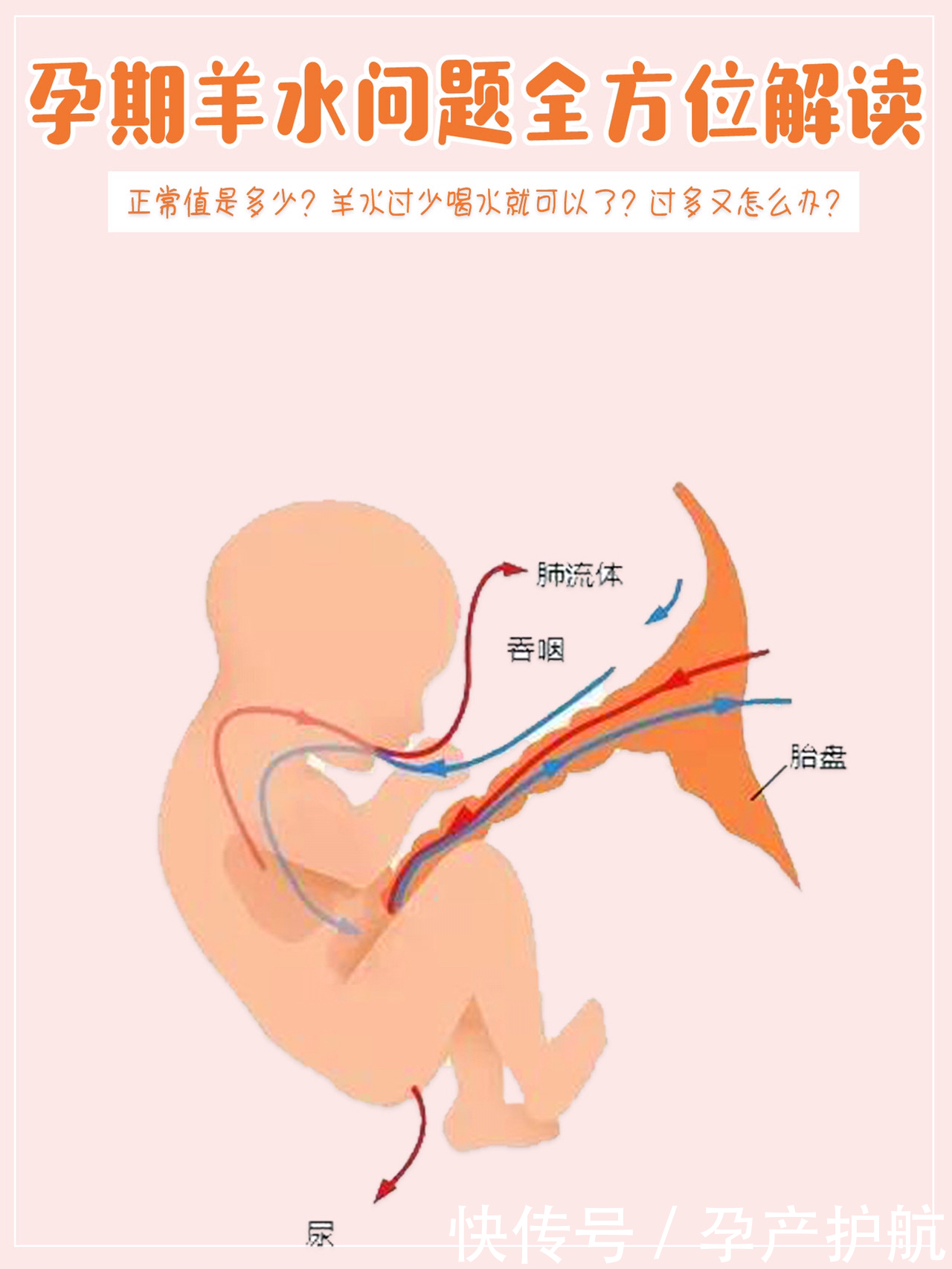 羊水异常怎么办?!|孕期羊水问题全方位解读| 孕期