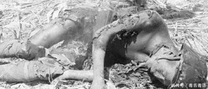 印度|日军攻打印度, 英国人啥都没干, 日军就死一半, 只因为此人的愚蠢!