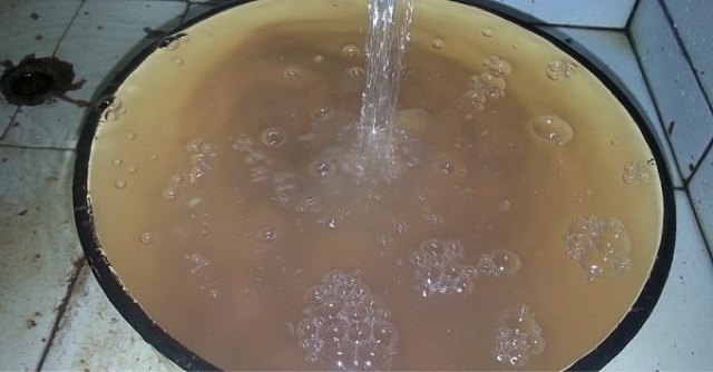 老公就馋这菜,长劲不长肉,下酒又下饭,隔三差五就要得吃!