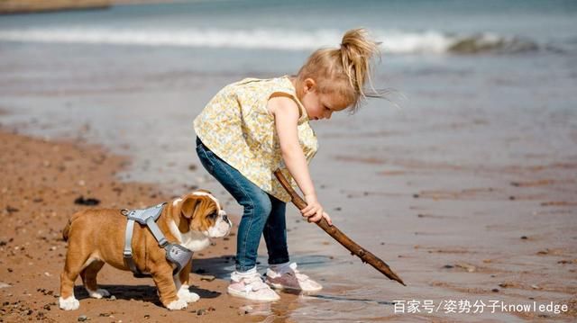 北海道|日本海洋生物的灾难:90%海胆死亡，影响或延续至4年后!