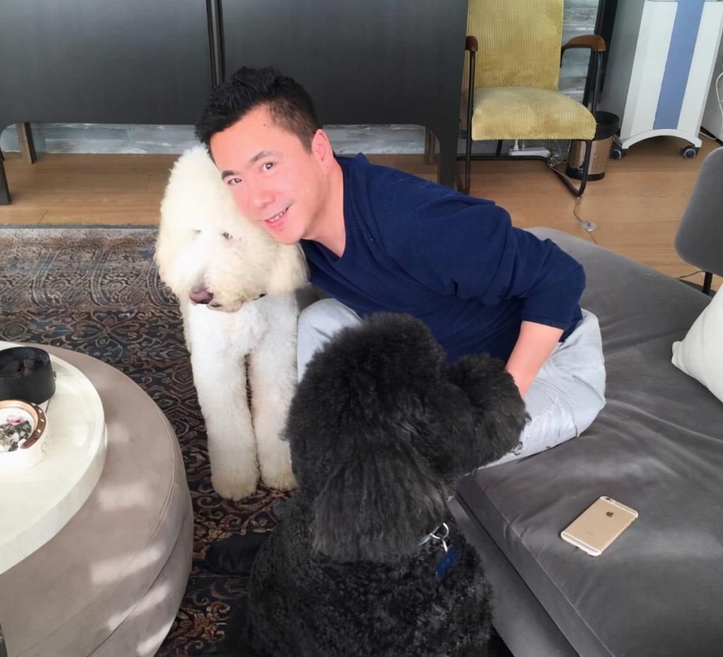 电梯|华谊总裁王中磊家,电梯入门,一进门就是金钱的“味道”