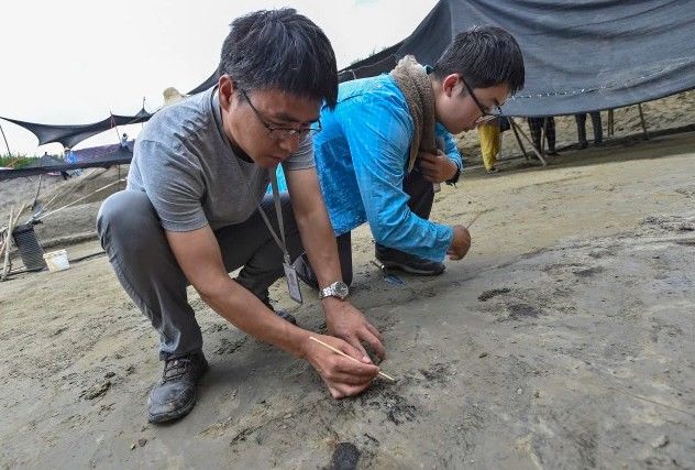 发现|惊喜！浙江一地有重大发现